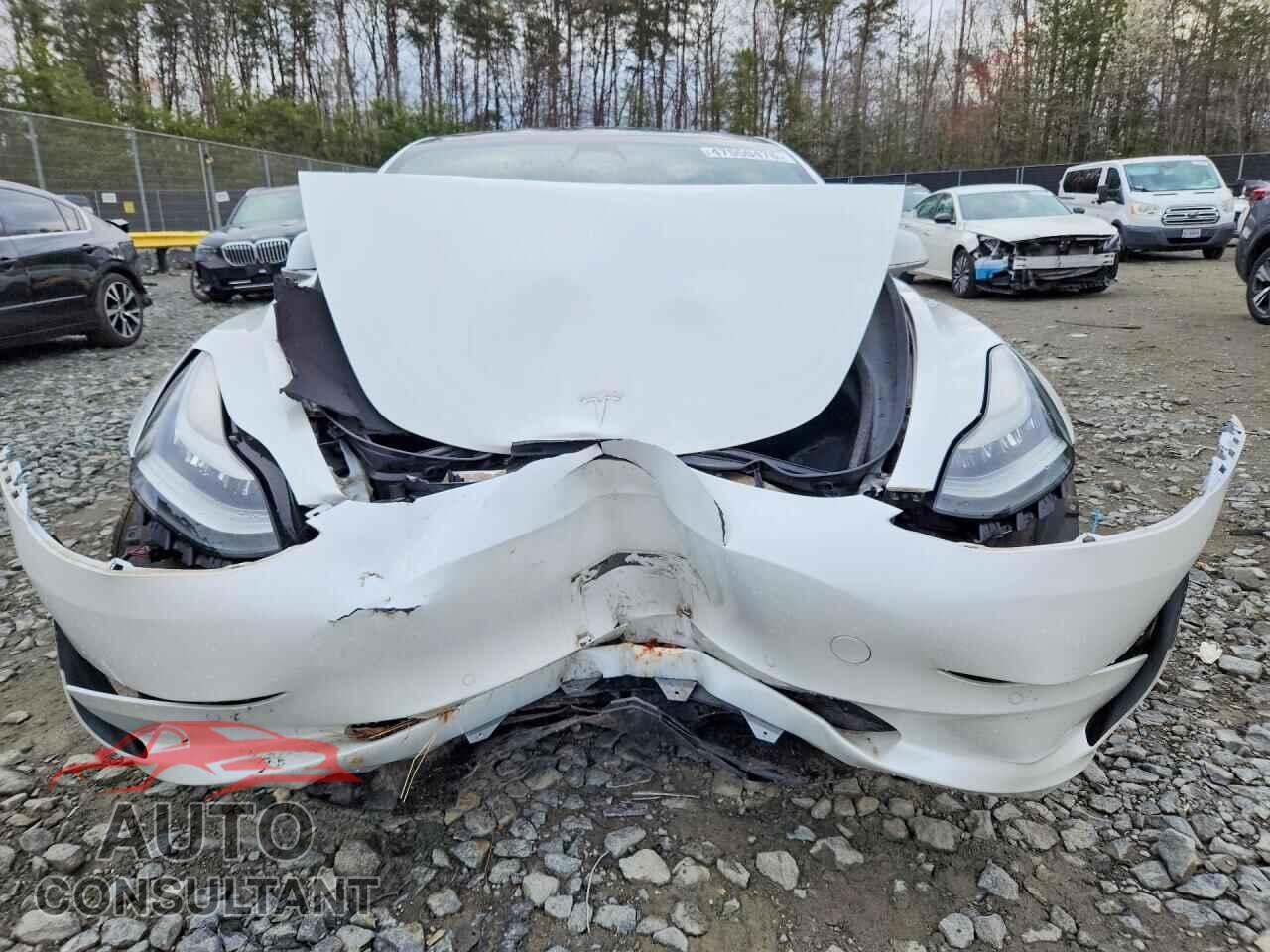 TESLA MODEL 3 2019 - 5YJ3E1EB2KF494008