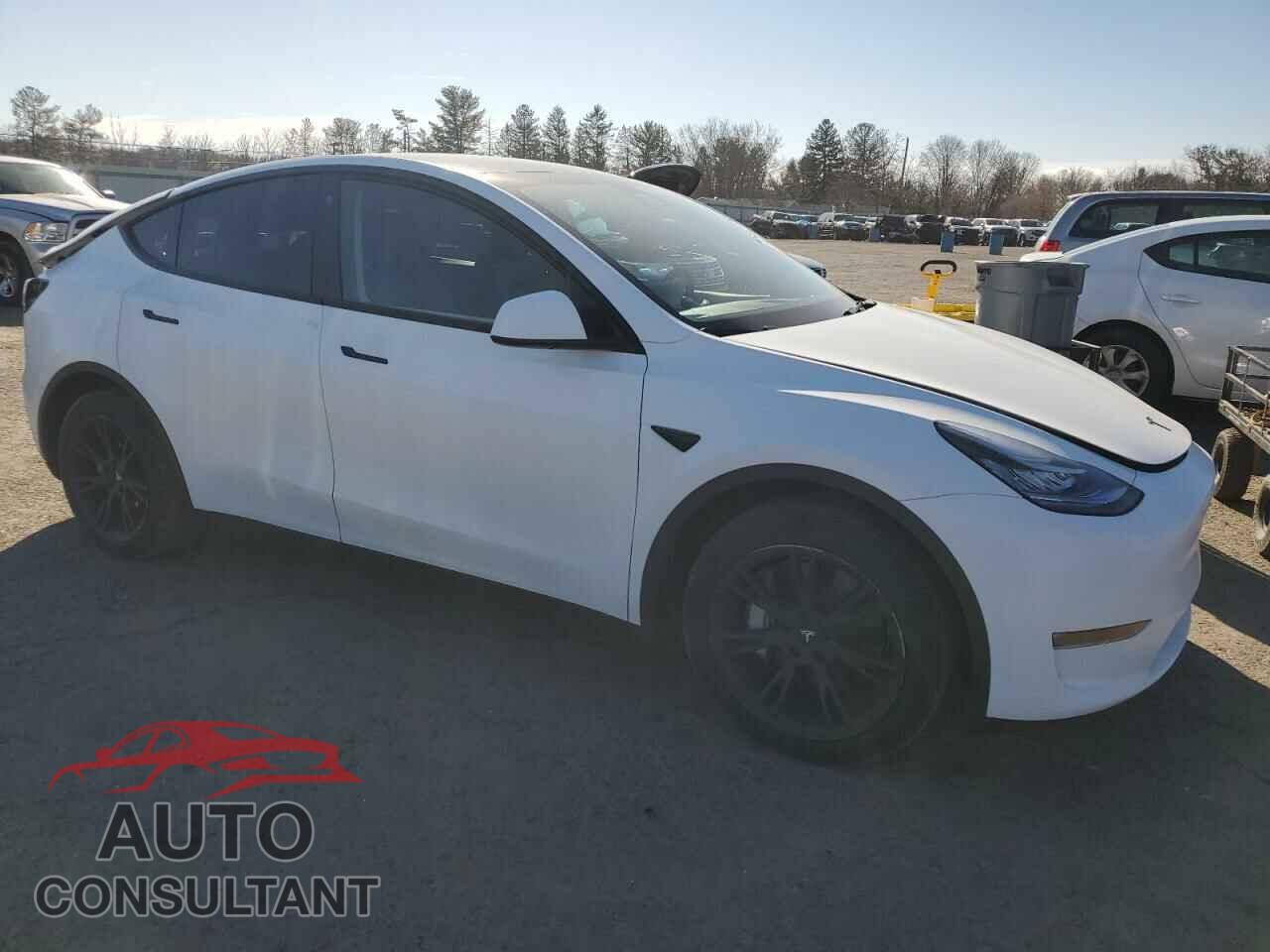 TESLA MODEL Y 2022 - 7SAYGAEE7NF429253