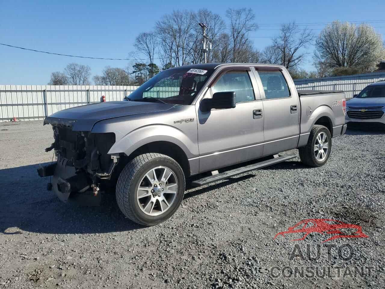 FORD F-150 2014 - 1FTEW1CMXEKG28832