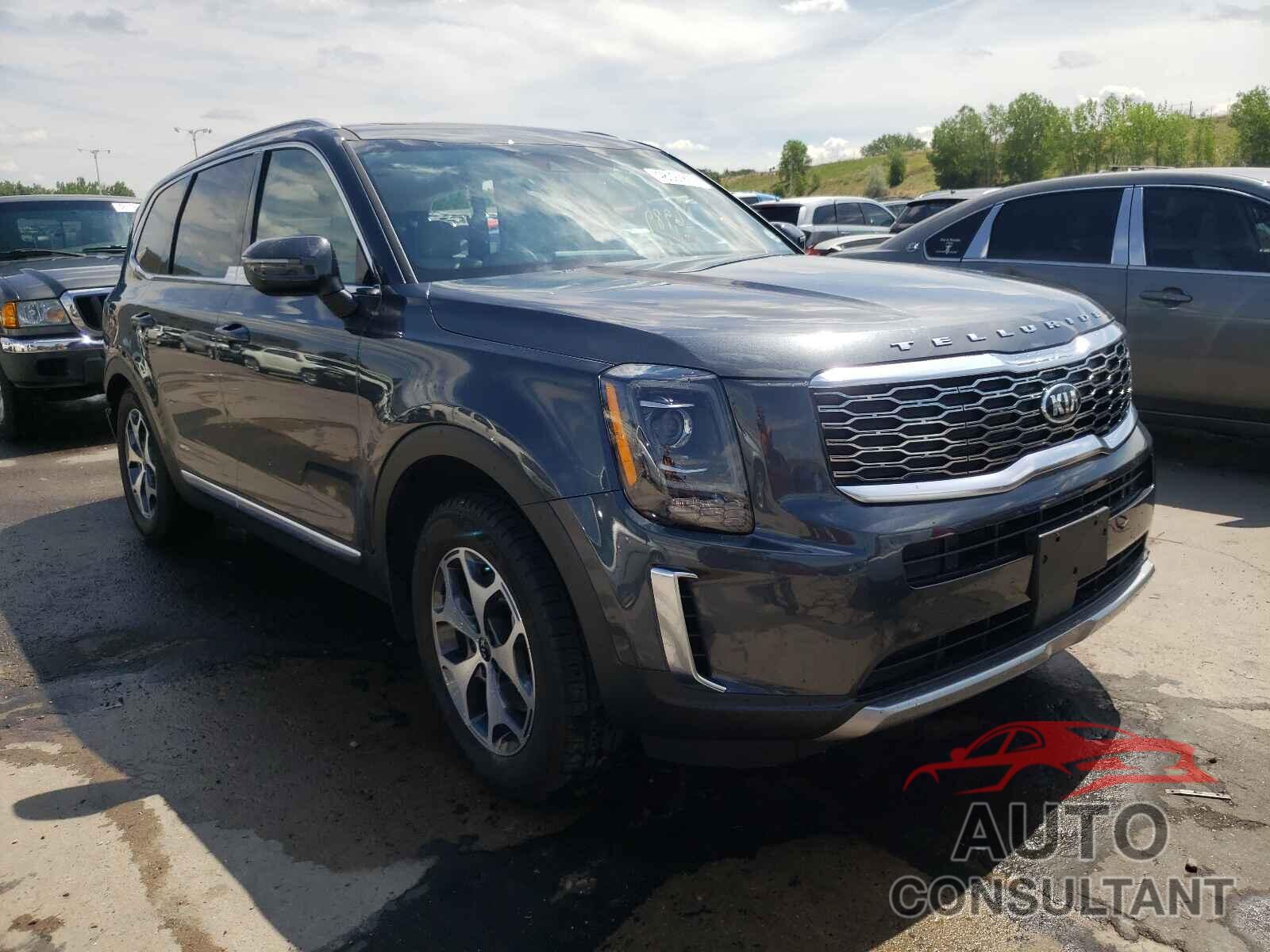 KIA TELLURIDE 2021 - 5XYP3DHC0MG108985