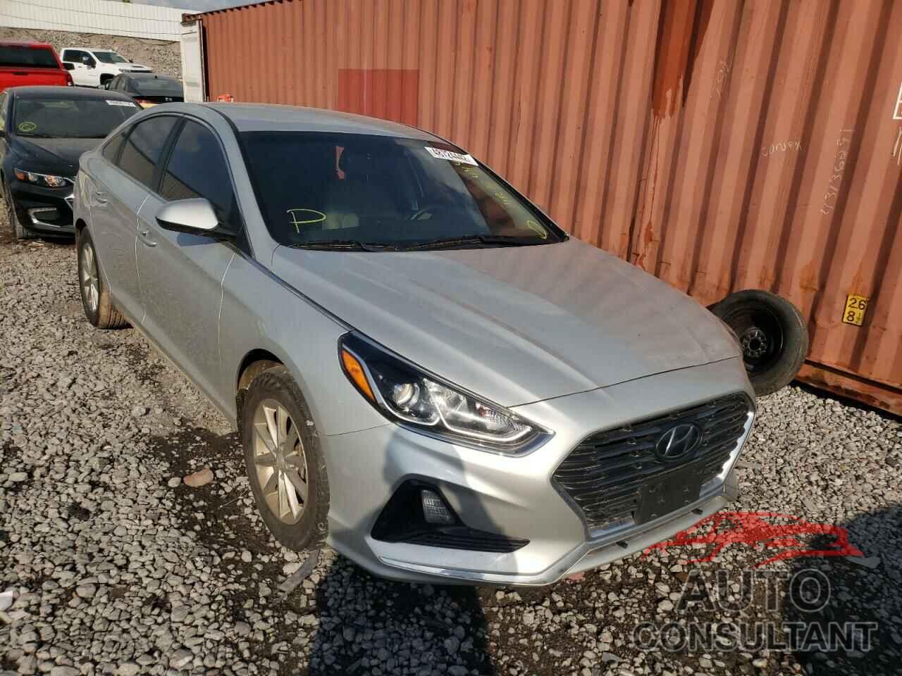 HYUNDAI SONATA 2019 - 5NPE24AF6KH800320