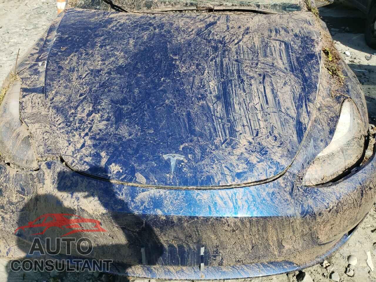 TESLA MODEL Y 2020 - 5YJYGDEE2LF044002