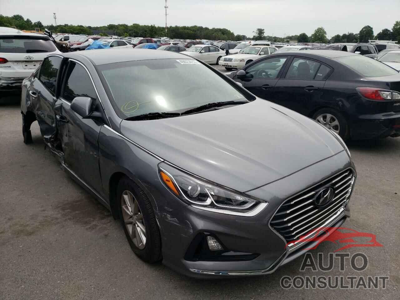 HYUNDAI SONATA 2019 - 5NPE24AF4KH776938