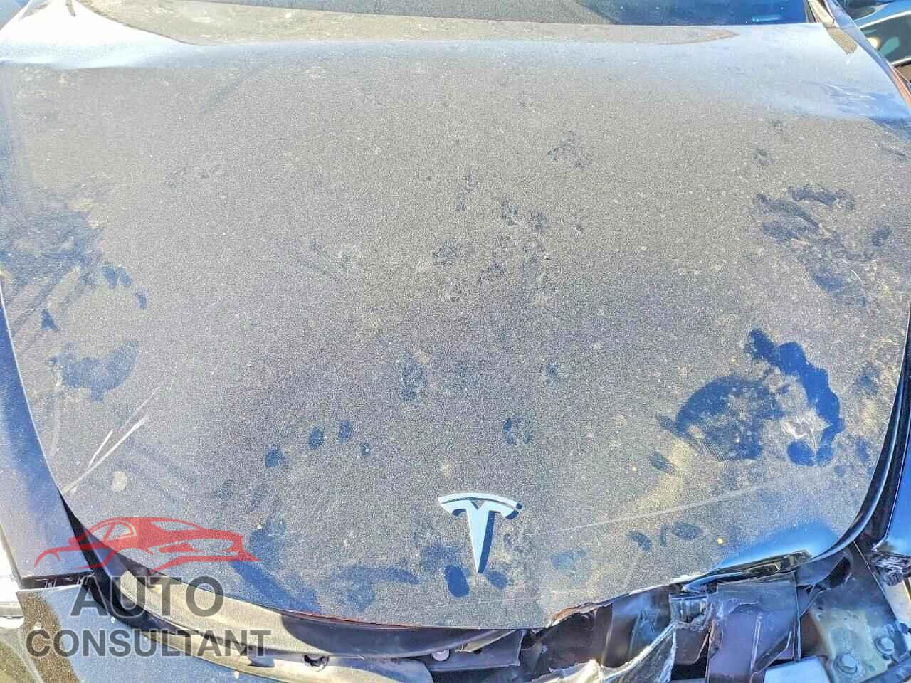 TESLA MODEL 3 2019 - 5YJ3E1EA1KF193284