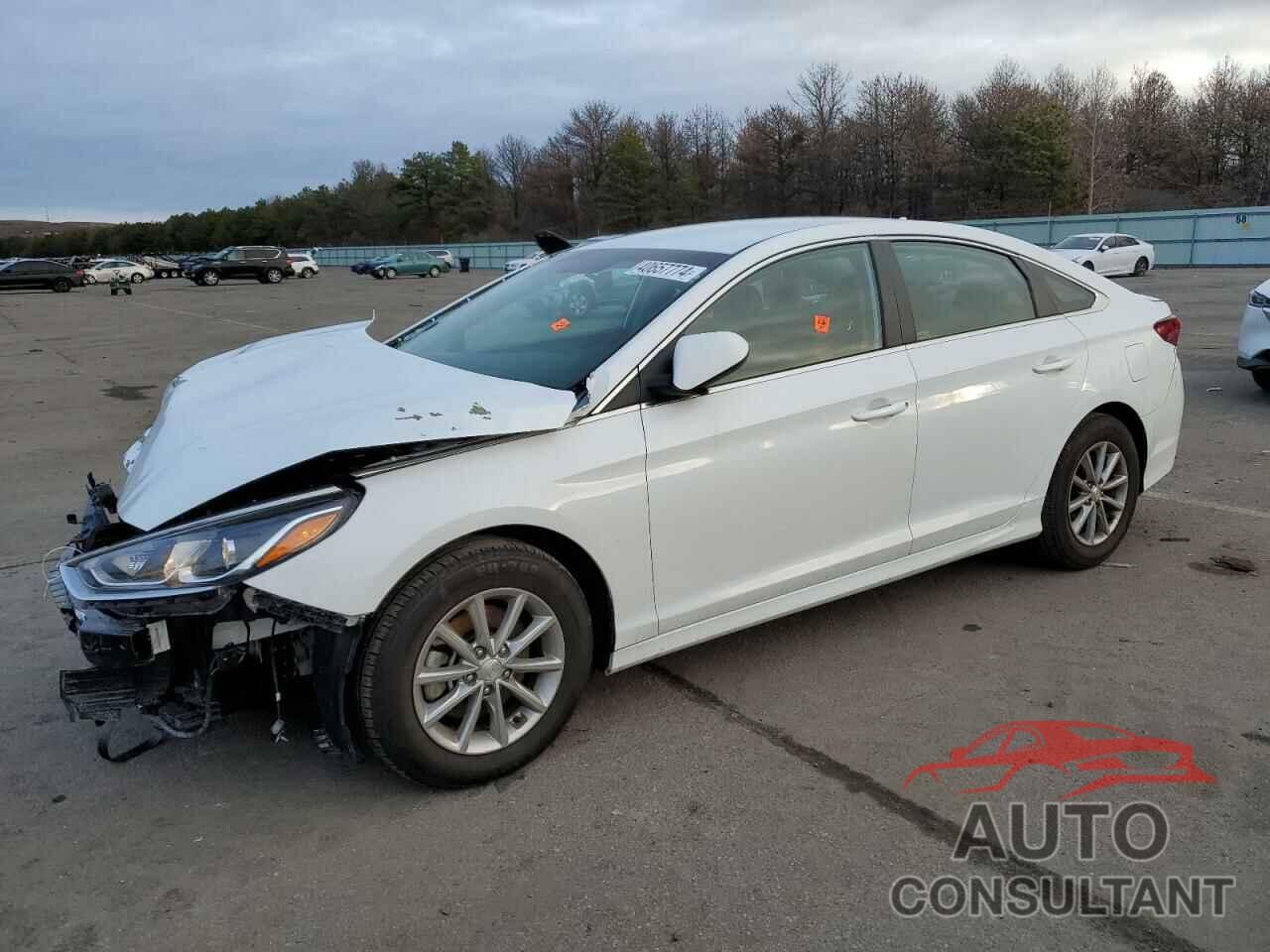 HYUNDAI SONATA 2018 - 5NPE24AF3JH667269