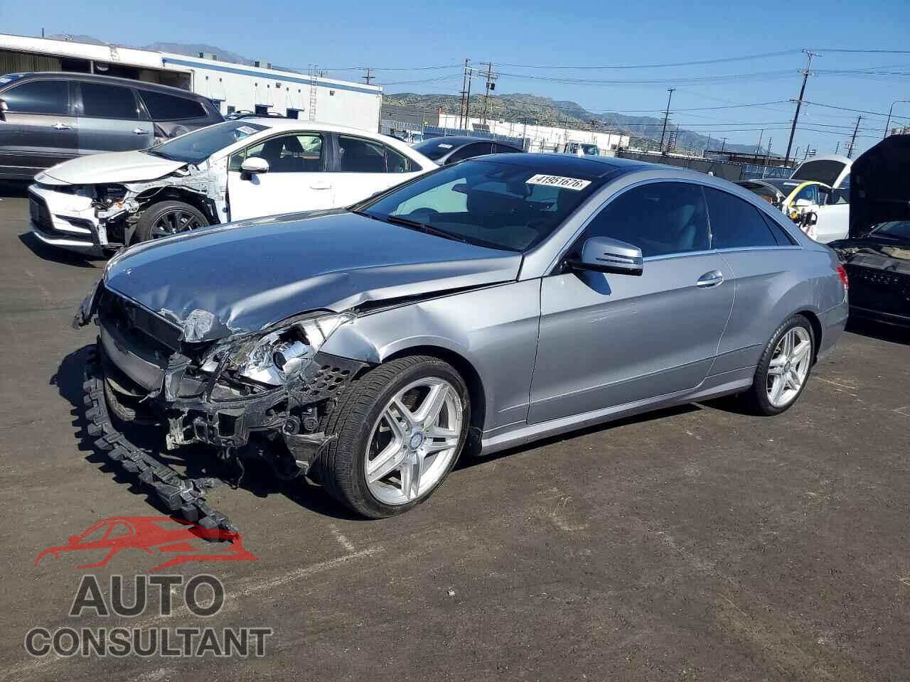 MERCEDES-BENZ E-CLASS 2011 - WDDKJ7CB8BF091861