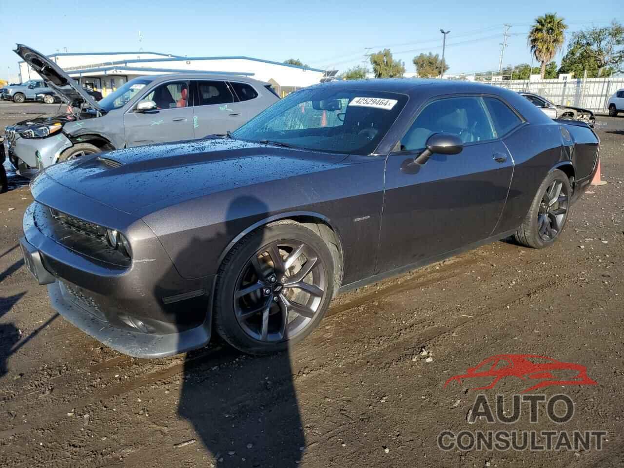 DODGE CHALLENGER 2019 - 2C3CDZBT3KH629185