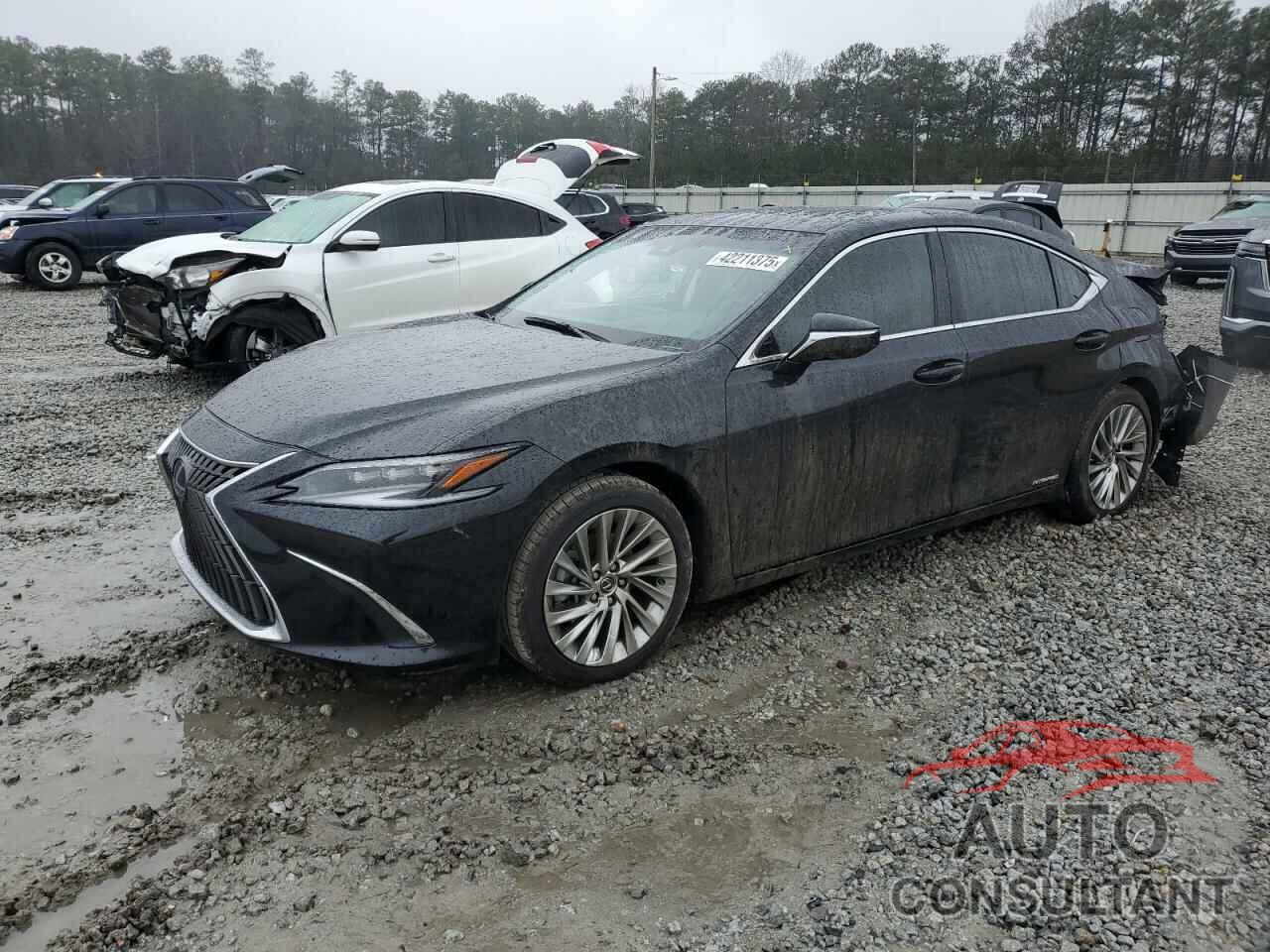 LEXUS ES300 2022 - 58AFA1C19NU023900