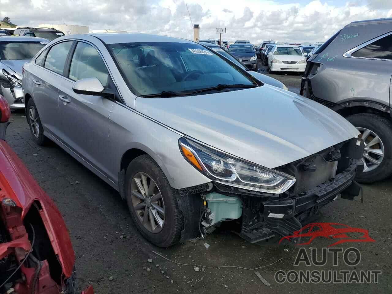 HYUNDAI SONATA 2019 - 5NPE24AF0KH812589