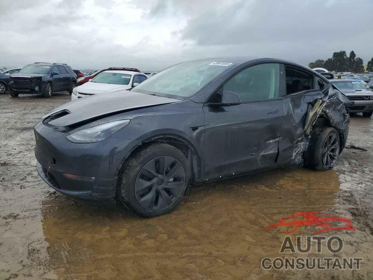 TESLA MODEL Y 2024 - 7SAYGDEE7RF179424