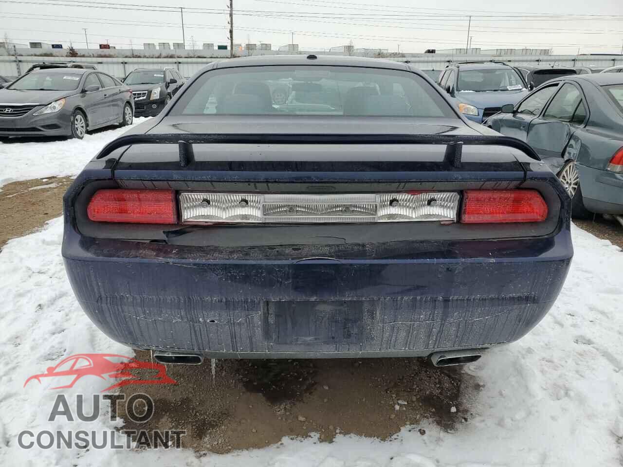 DODGE CHALLENGER 2014 - 2C3CDYBTXEH205467