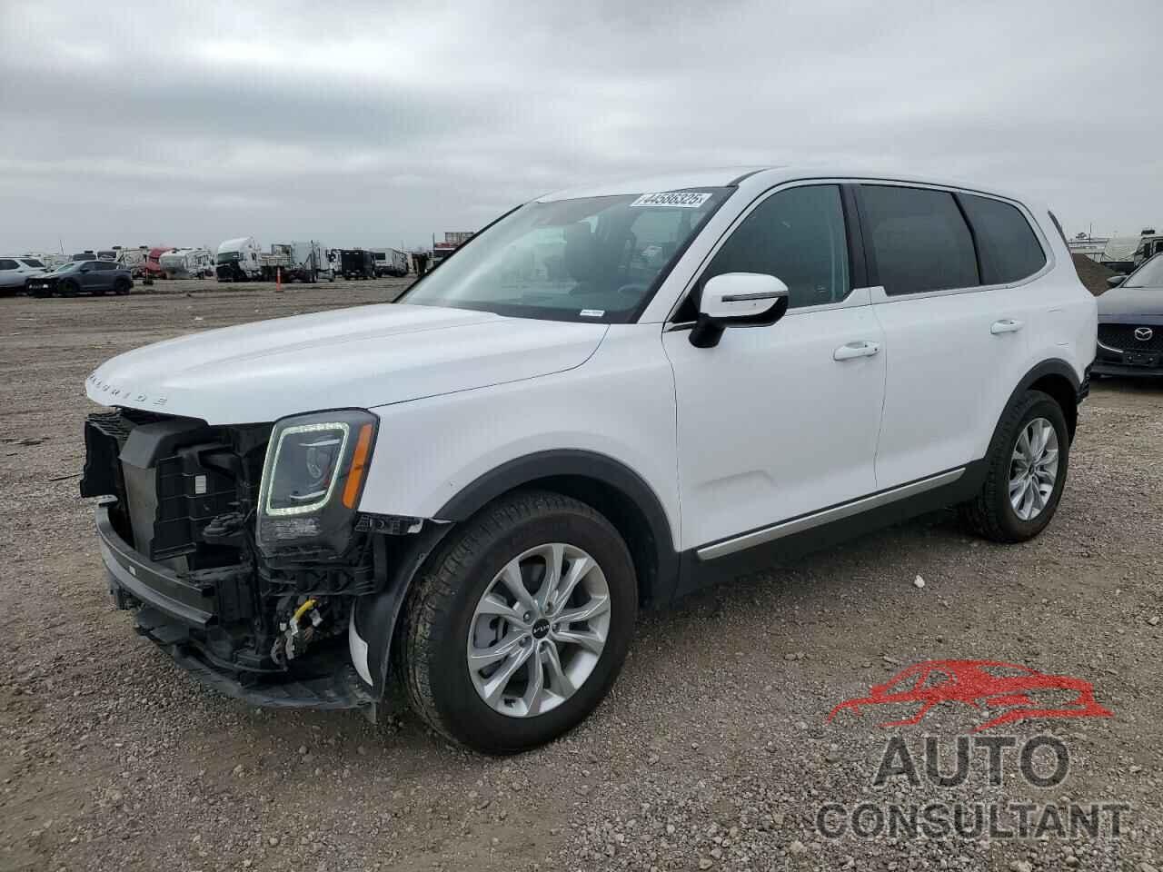 KIA TELLURIDE 2022 - 5XYP2DHC2NG254924