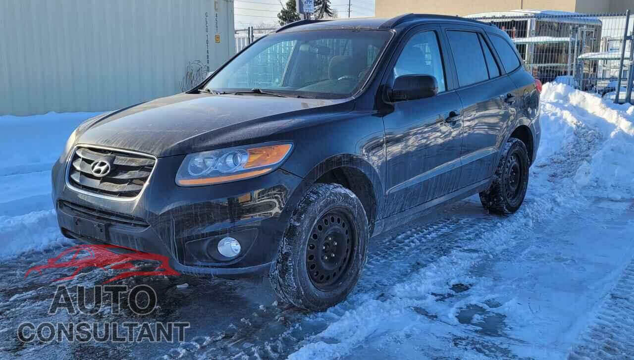 HYUNDAI SANTA FE 2010 - 5NMSGDAG0AH385536