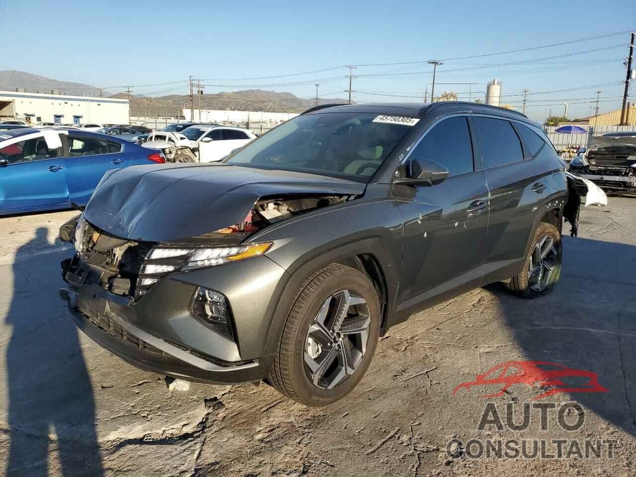 HYUNDAI TUCSON 2024 - KM8JCCD17RU187805