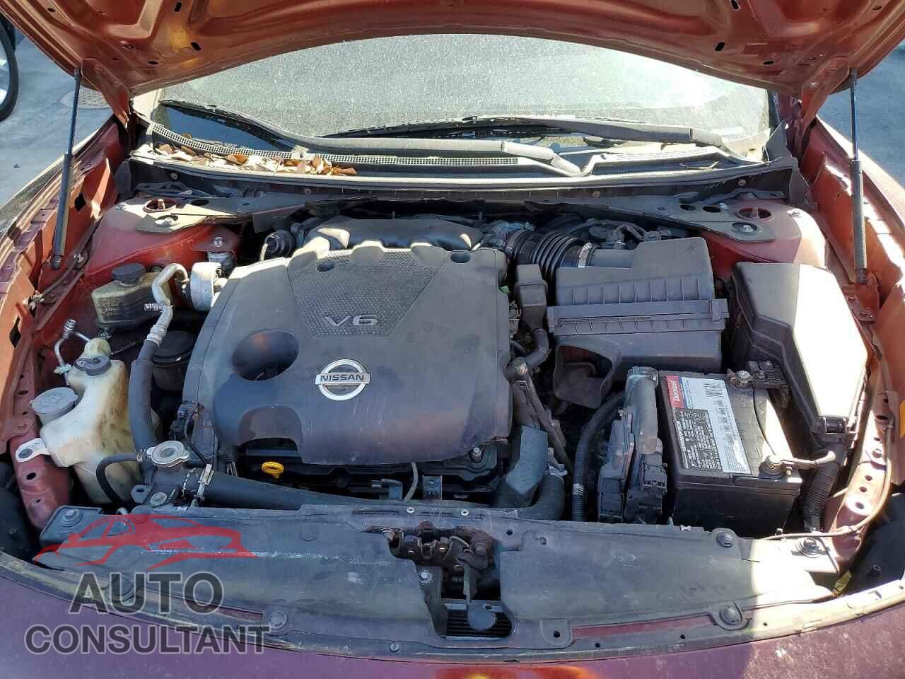 NISSAN MAXIMA 2009 - 1N4AA51E79C818058