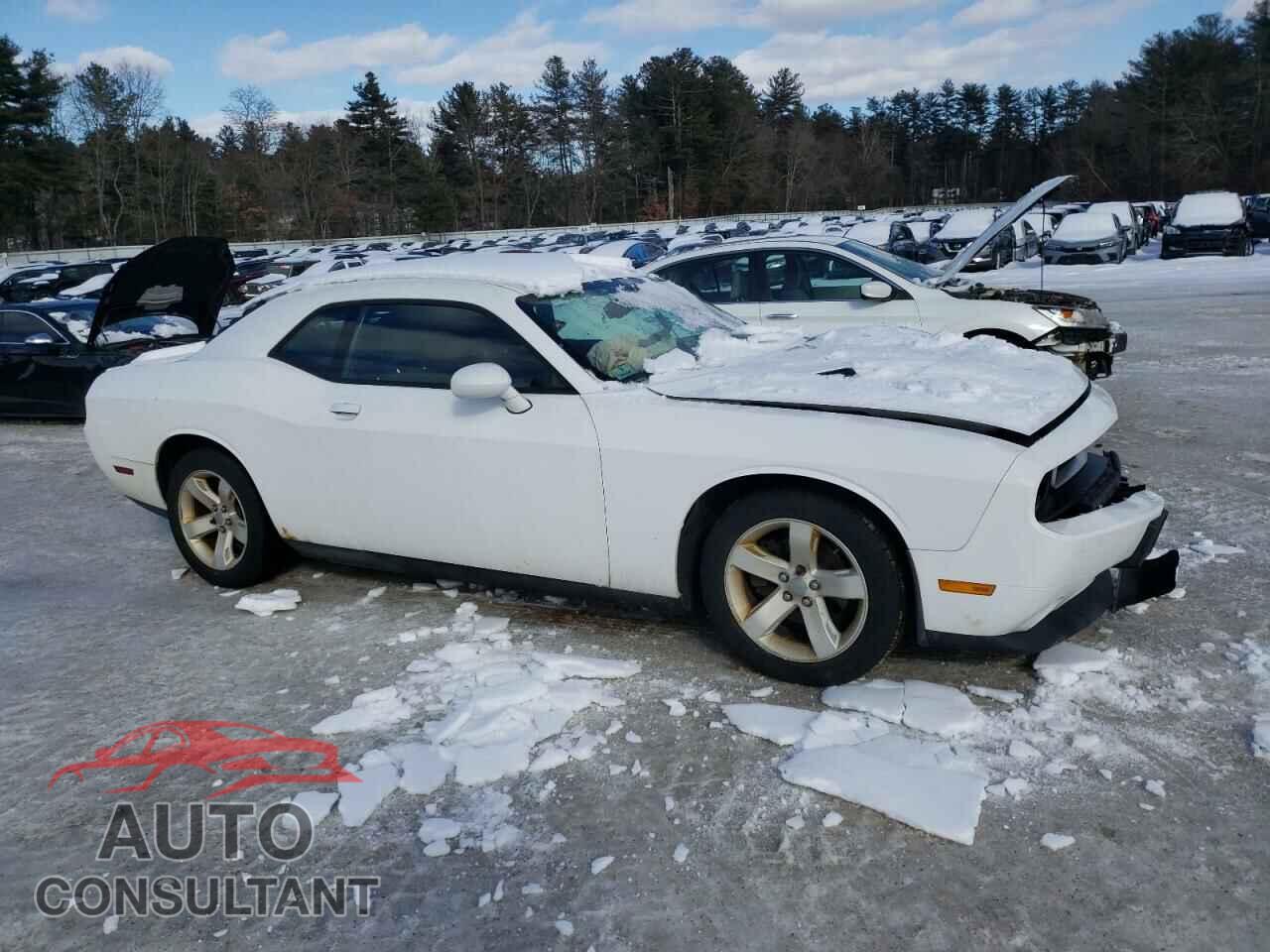 DODGE CHALLENGER 2013 - 2C3CDYAG6DH520933