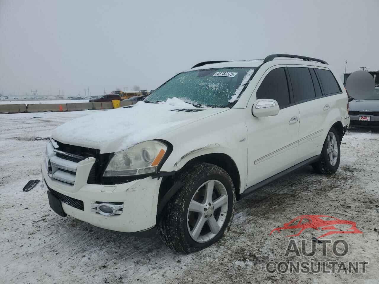 MERCEDES-BENZ GL-CLASS 2009 - 4JGBF25E99A489427