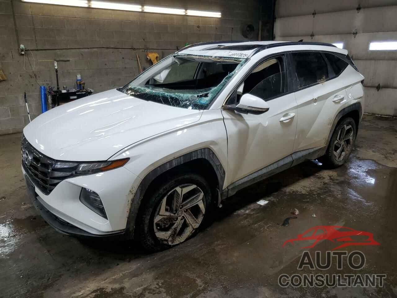 HYUNDAI TUCSON 2024 - 5NMJFCDE5RH403785
