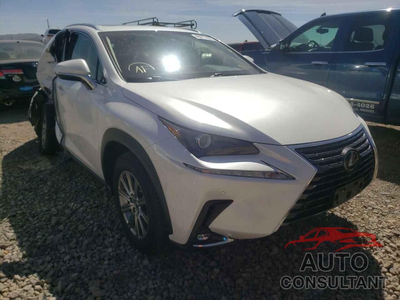 LEXUS NX 2020 - JTJDARDZXL5008929