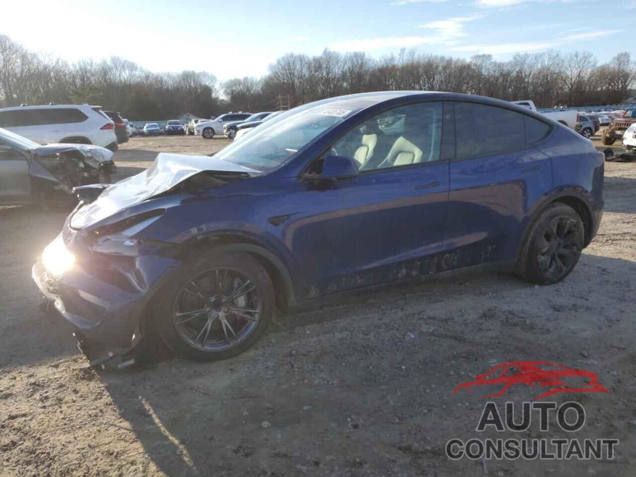TESLA MODEL Y 2024 - 7SAYGDED8RF170299