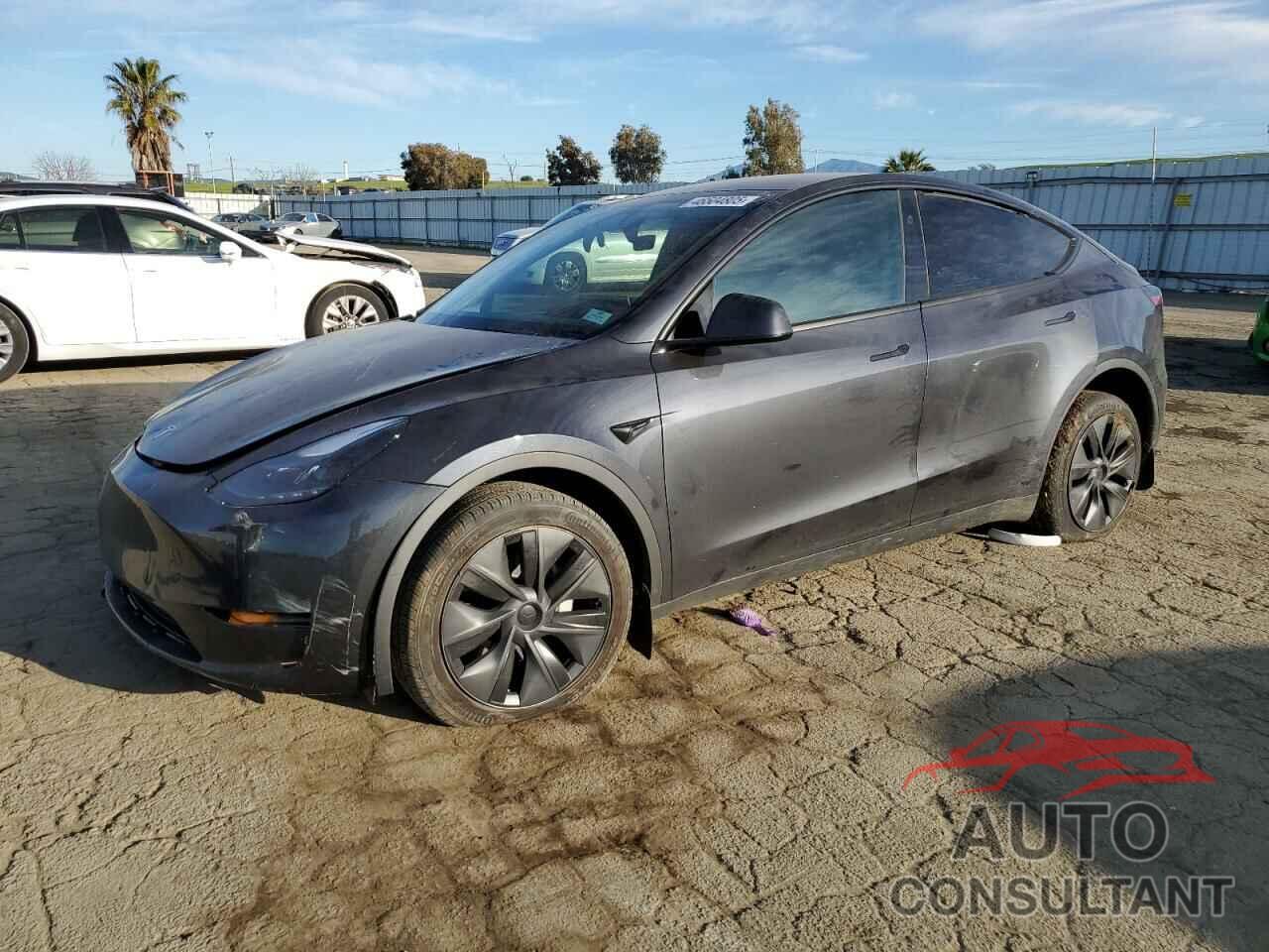 TESLA MODEL Y 2024 - 7SAYGDEE8RF119829
