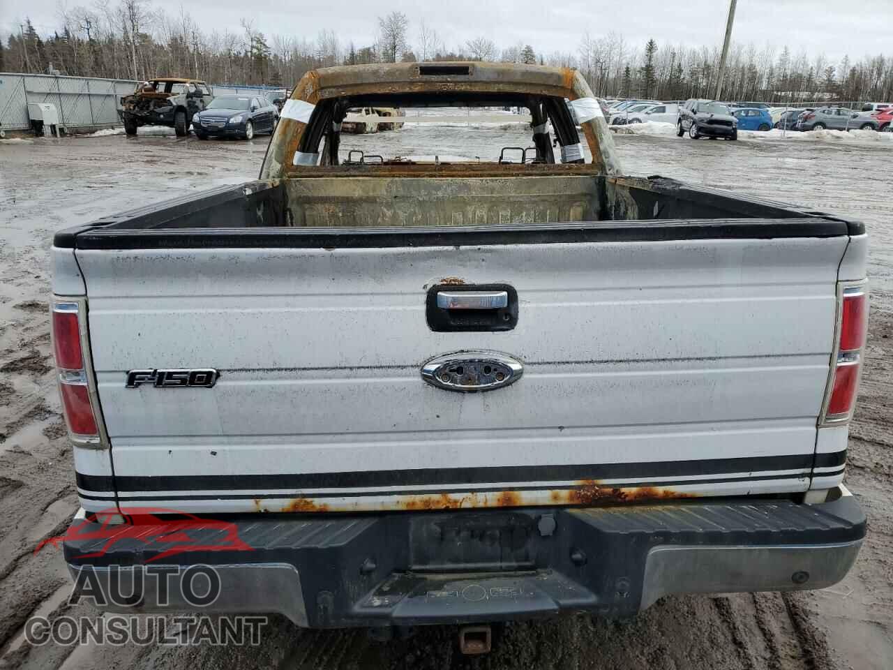 FORD F-150 2013 - 1FTFW1EF2DFD58408