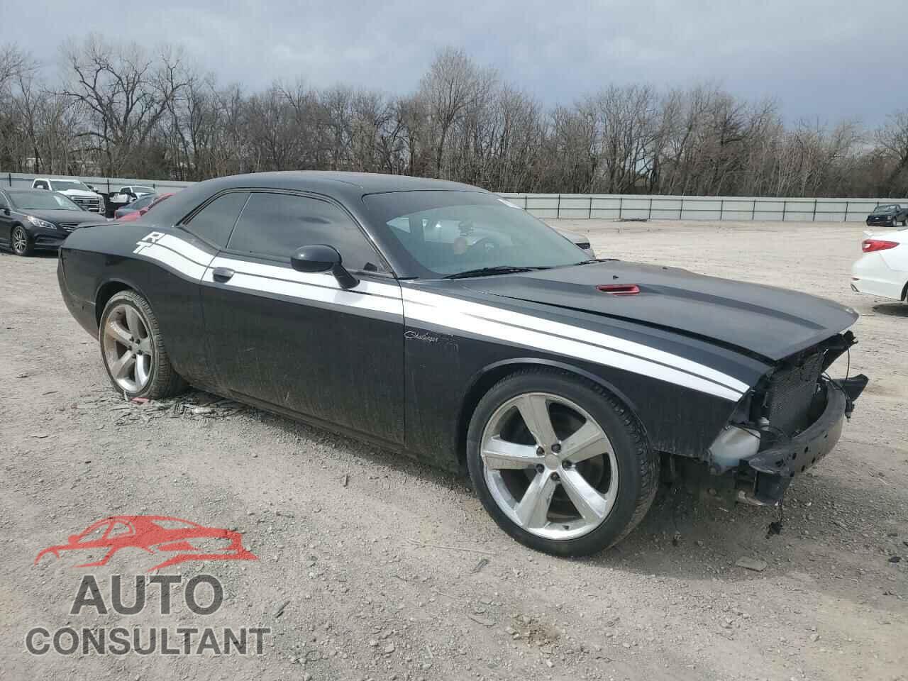 DODGE CHALLENGER 2013 - 2C3CDYAG7DH531245