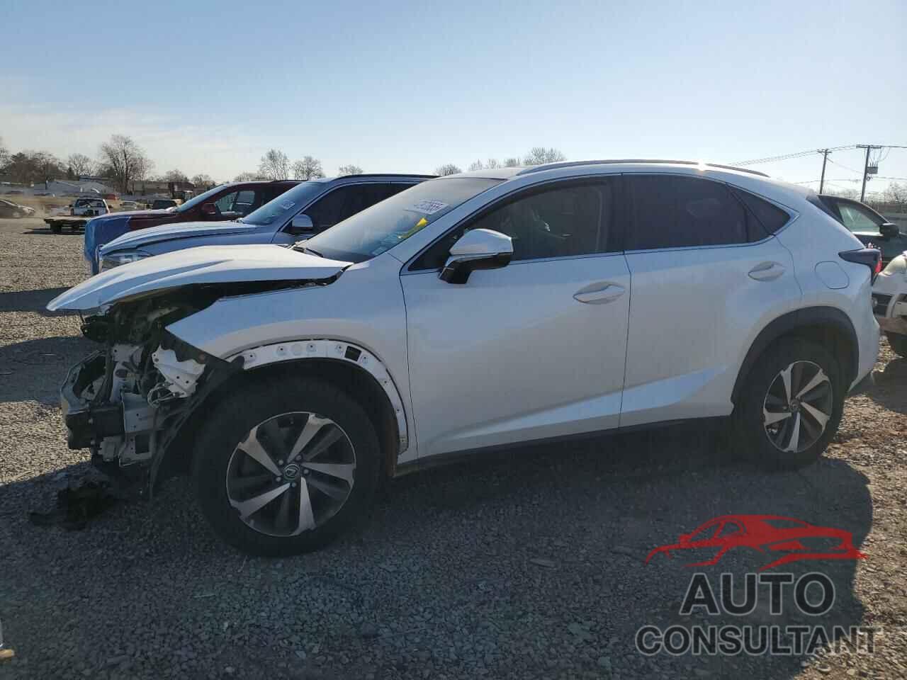 LEXUS NX 2019 - JTJBARBZ9K2199351