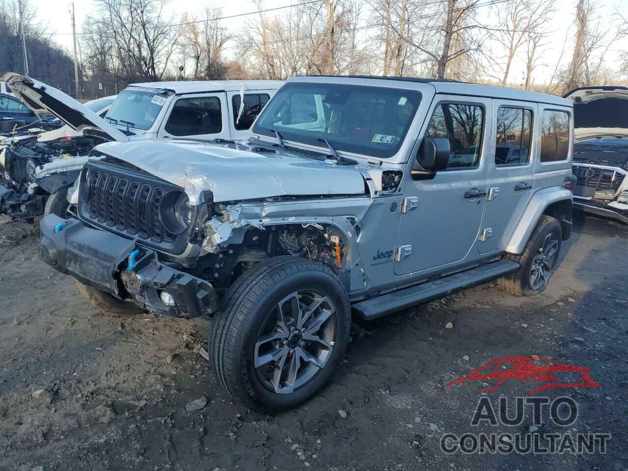 JEEP WRANGLER 2024 - 1C4RJXN69RW282529