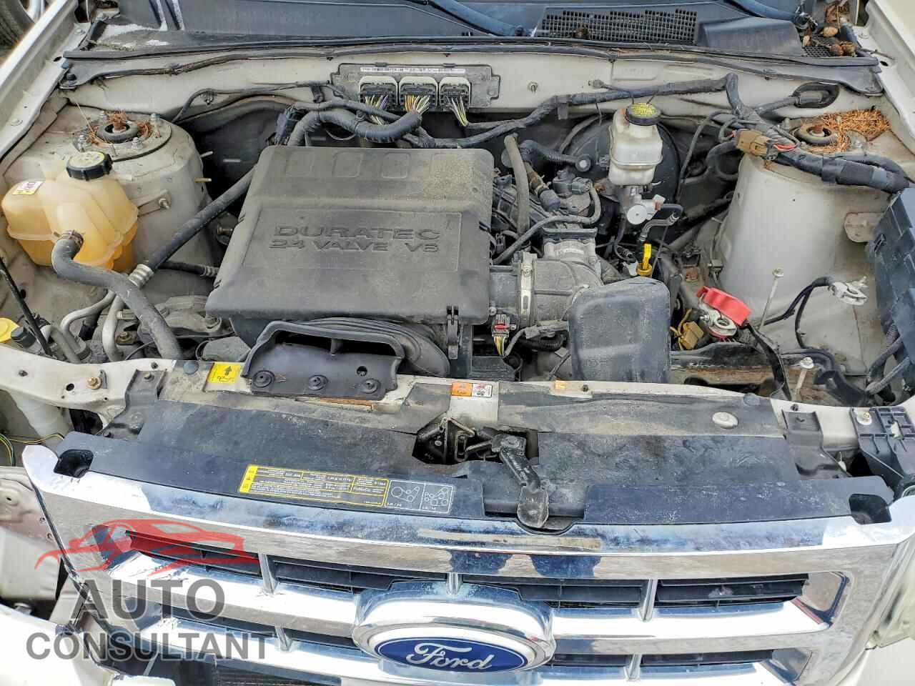 FORD ESCAPE 2011 - 1FMCU0DG9BKA70026