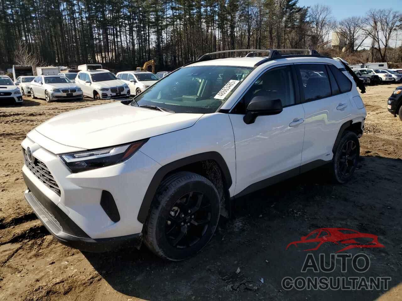 TOYOTA RAV4 2023 - JTMLWRFVXPD196941