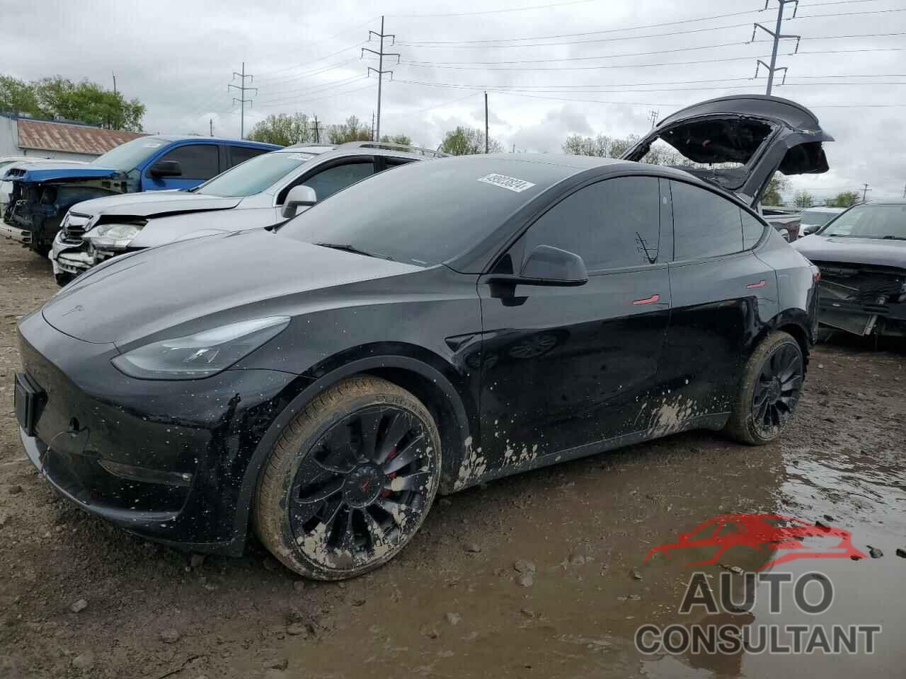 TESLA MODEL Y 2023 - 7SAYGDEF7PF884519