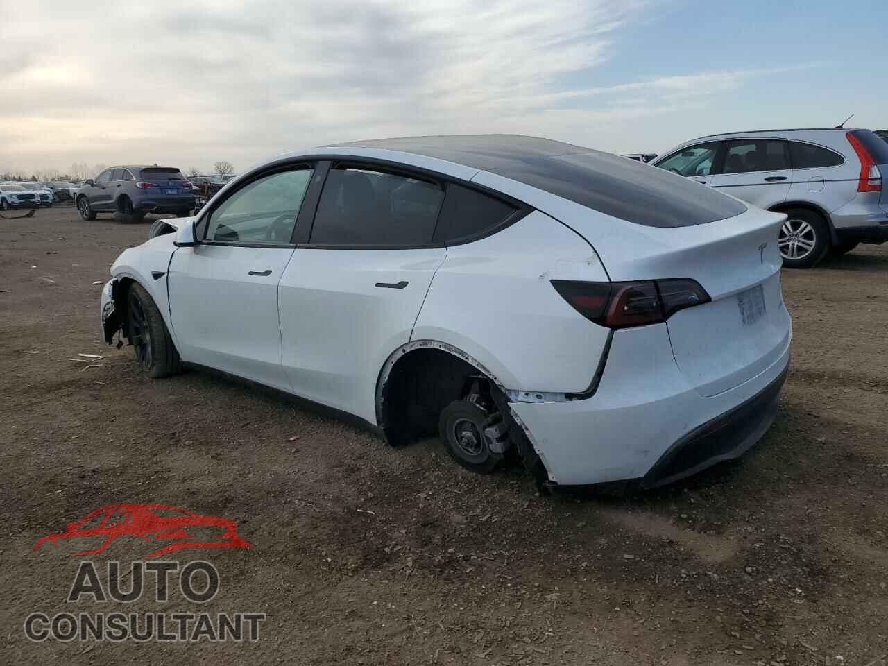 TESLA MODEL Y 2022 - 7SAYGAEE1NF540574