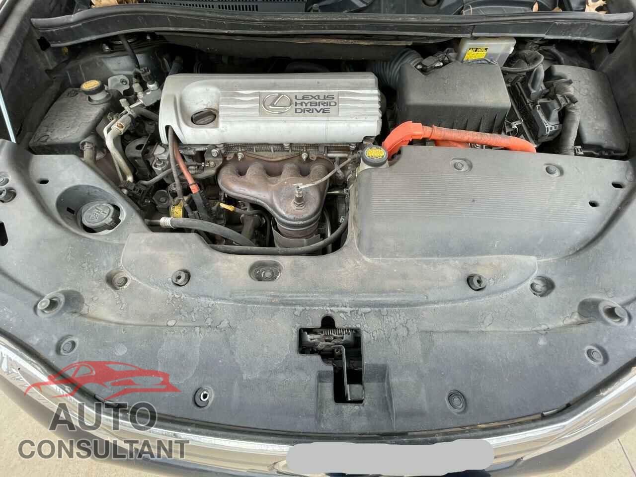 LEXUS HS 2010 - JTHBB1BA0A2007243