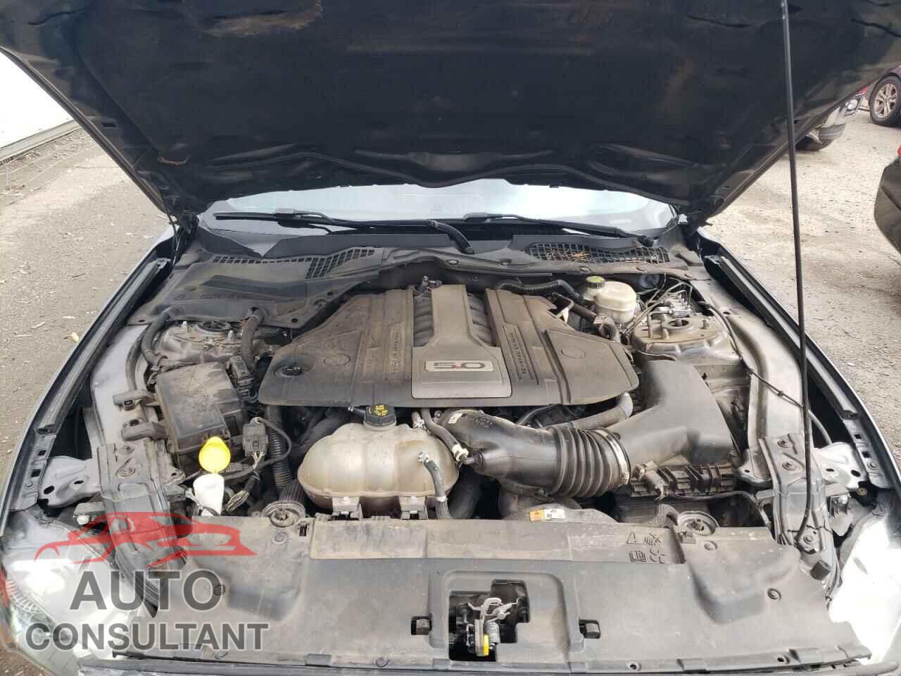 FORD MUSTANG 2018 - 1FA6P8CF3J5102004