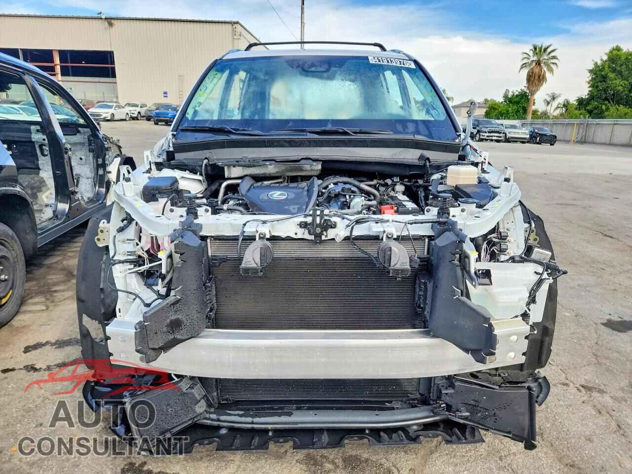 LEXUS UNKNOWN 2024 - 5TDAAAA64RS011944