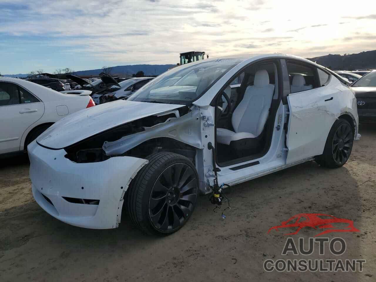 TESLA MODEL Y 2022 - 7SAYGDEF4NF511189