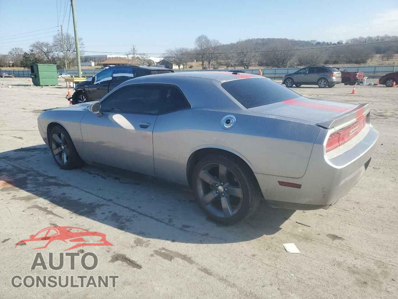 DODGE CHALLENGER 2013 - 2C3CDYAG3DH660180