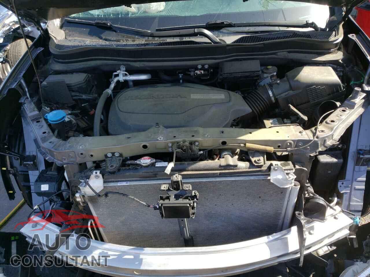 HONDA PILOT 2019 - 5FNYF5H10KB001505