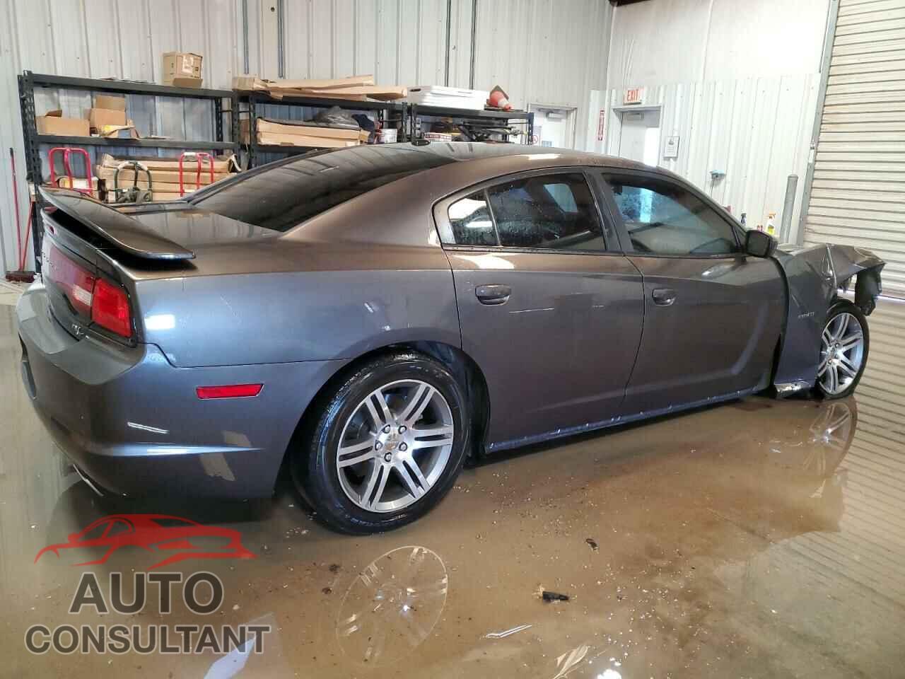 DODGE CHARGER 2013 - 2C3CDXCT3DH715831
