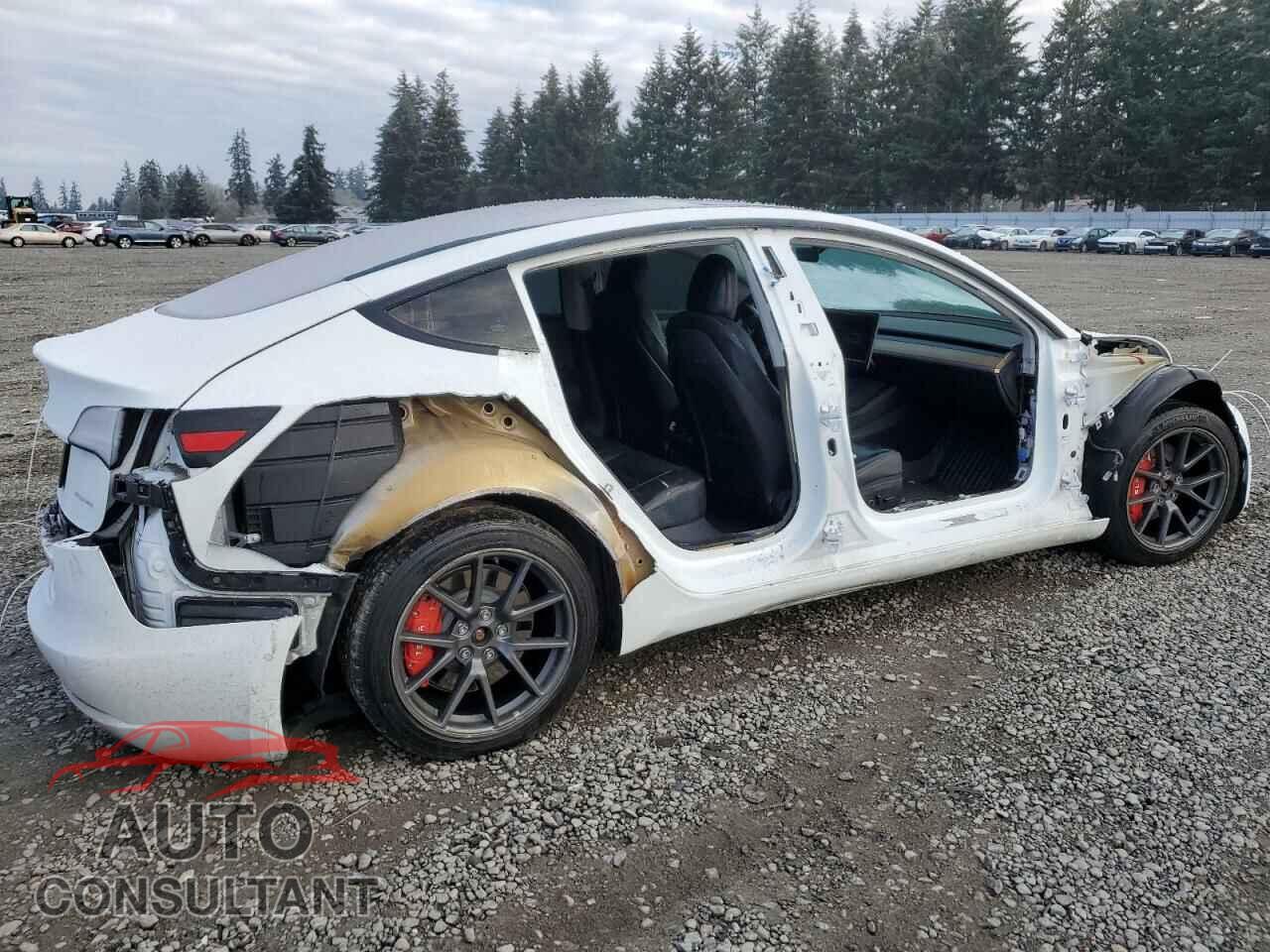 TESLA MODEL 3 2021 - 5YJ3E1EB3MF927628