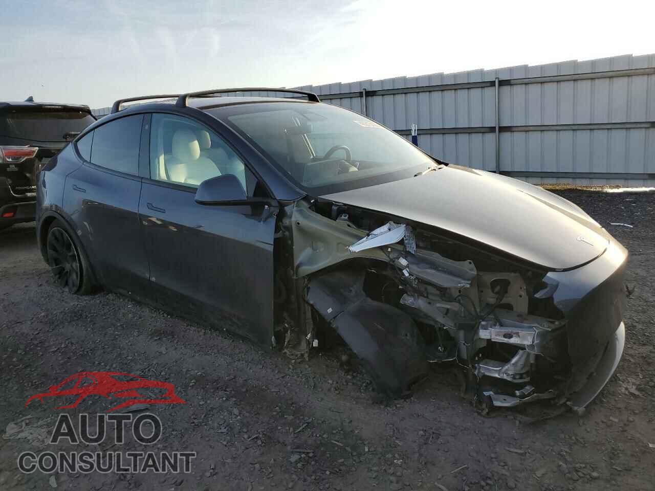 TESLA MODEL Y 2022 - 7SAYGDEE3NF319558