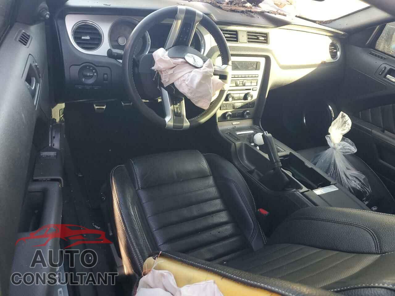 FORD MUSTANG 2011 - 1ZVBP8CF8B5165803