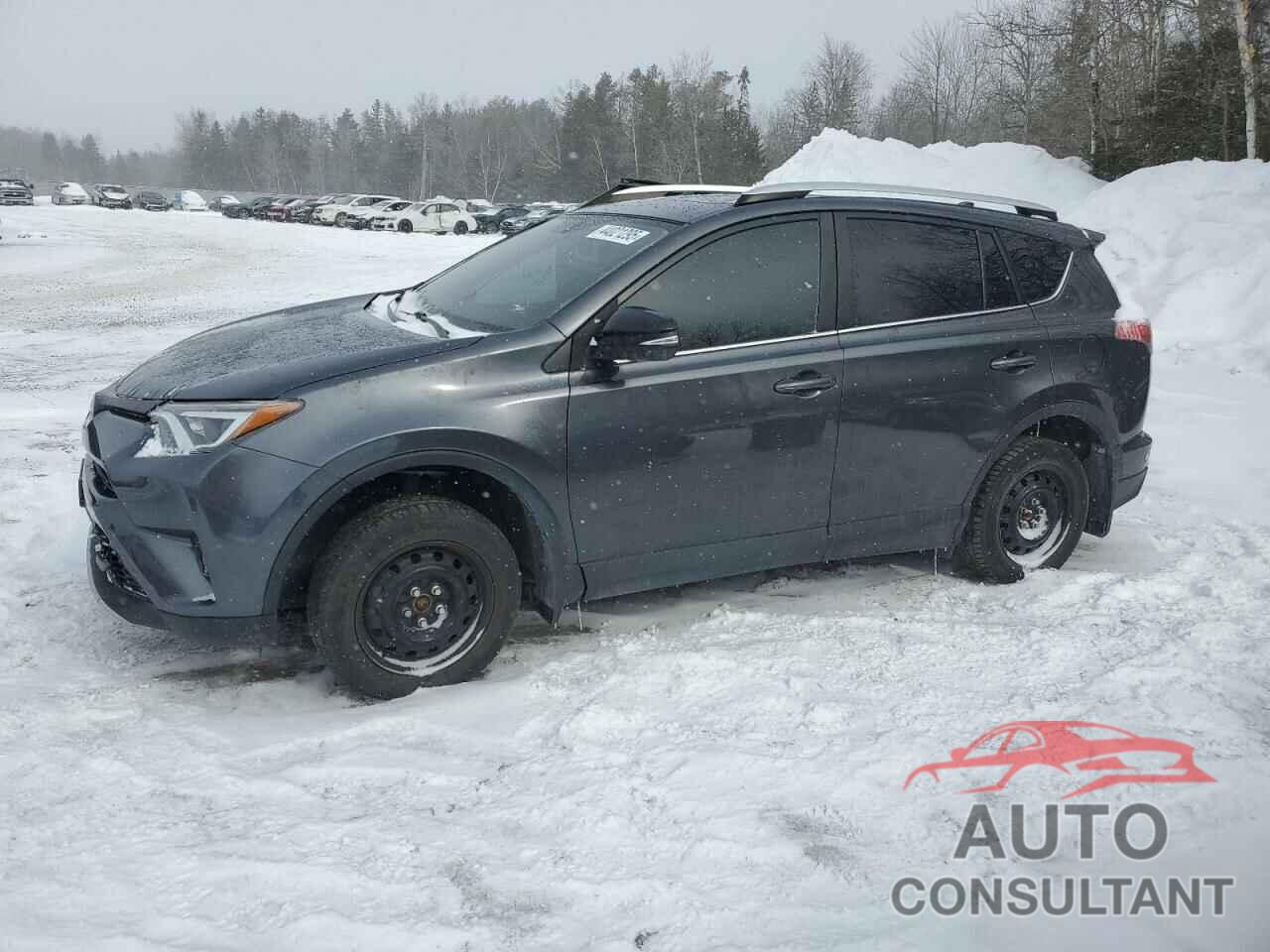 TOYOTA RAV4 2016 - 2T3JFREV2GW466269