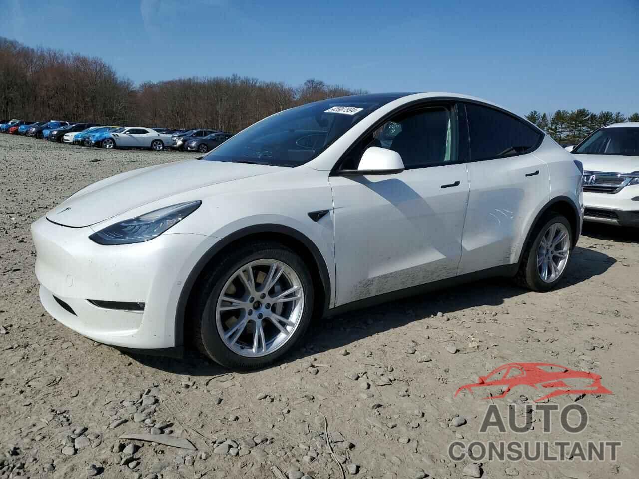 TESLA MODEL Y 2021 - 5YJYGDEEXMF204838