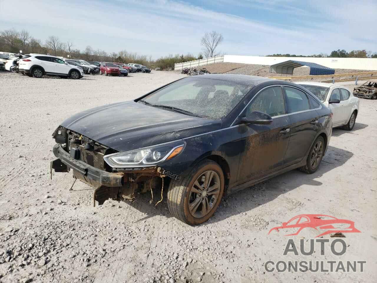 HYUNDAI SONATA 2019 - 5NPE34AF4KH808736