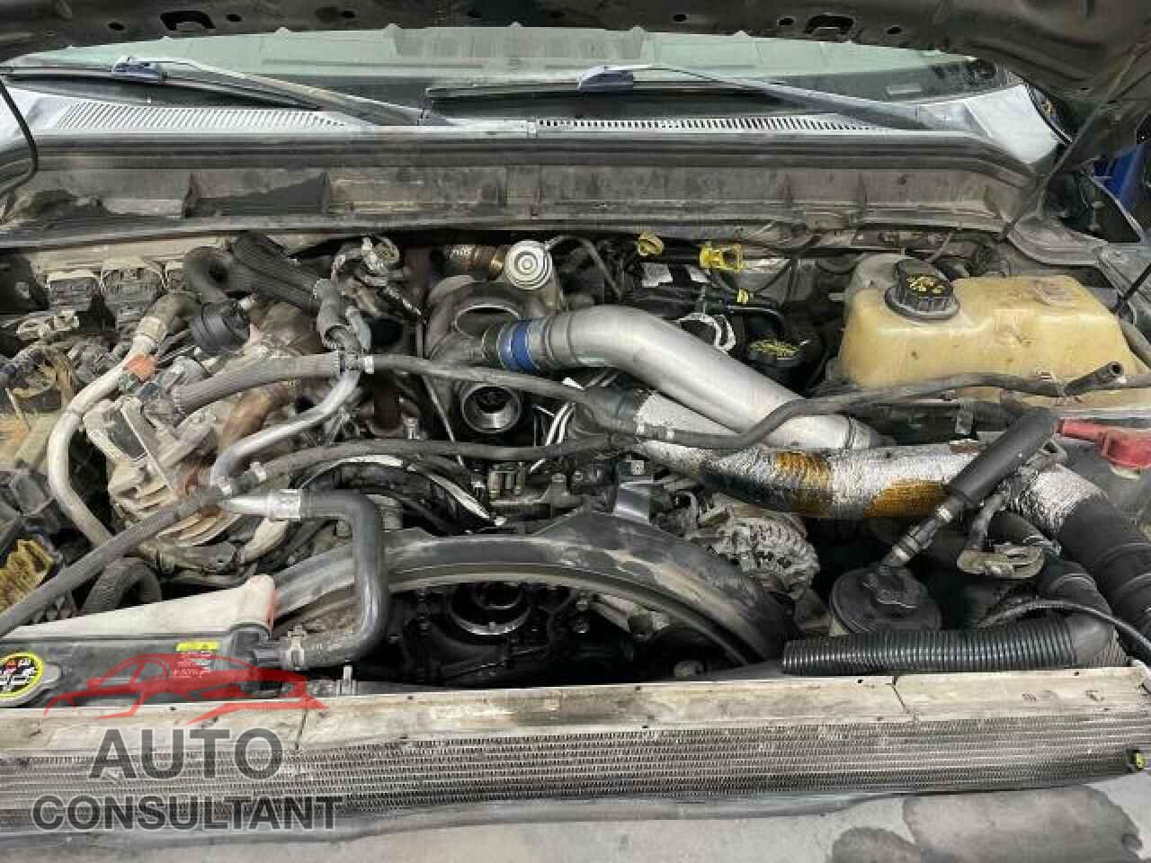 FORD F350 2011 - 1FT8W3BT2BEB87564