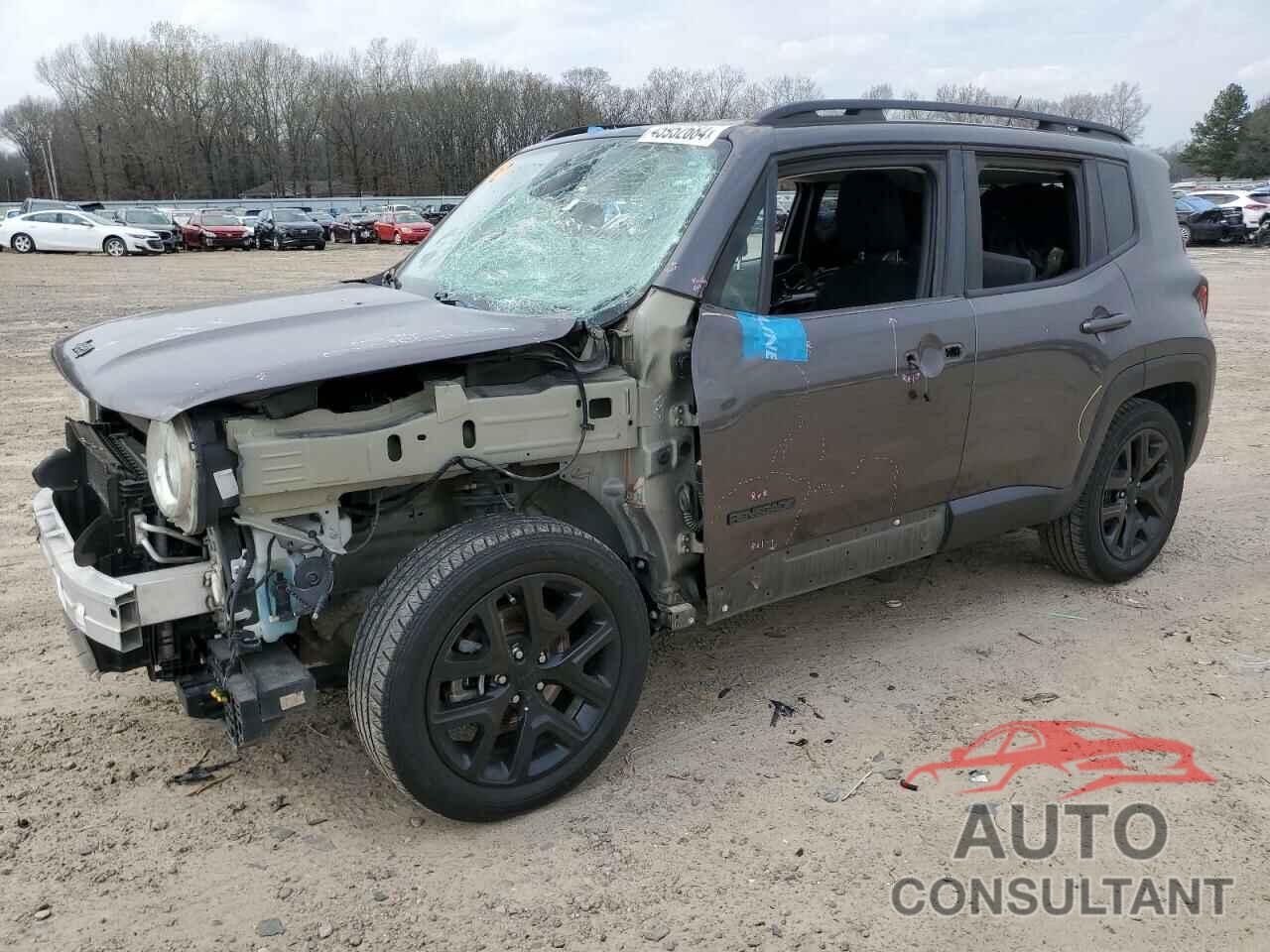 JEEP RENEGADE 2017 - ZACCJABB0HPF72691