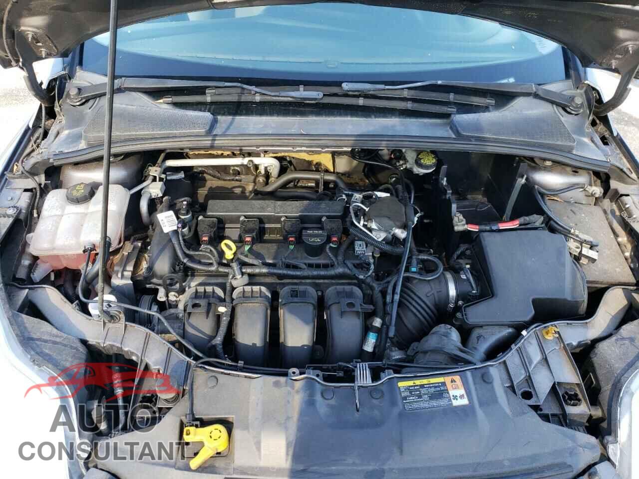 FORD FOCUS 2014 - 1FADP3F26EL247672
