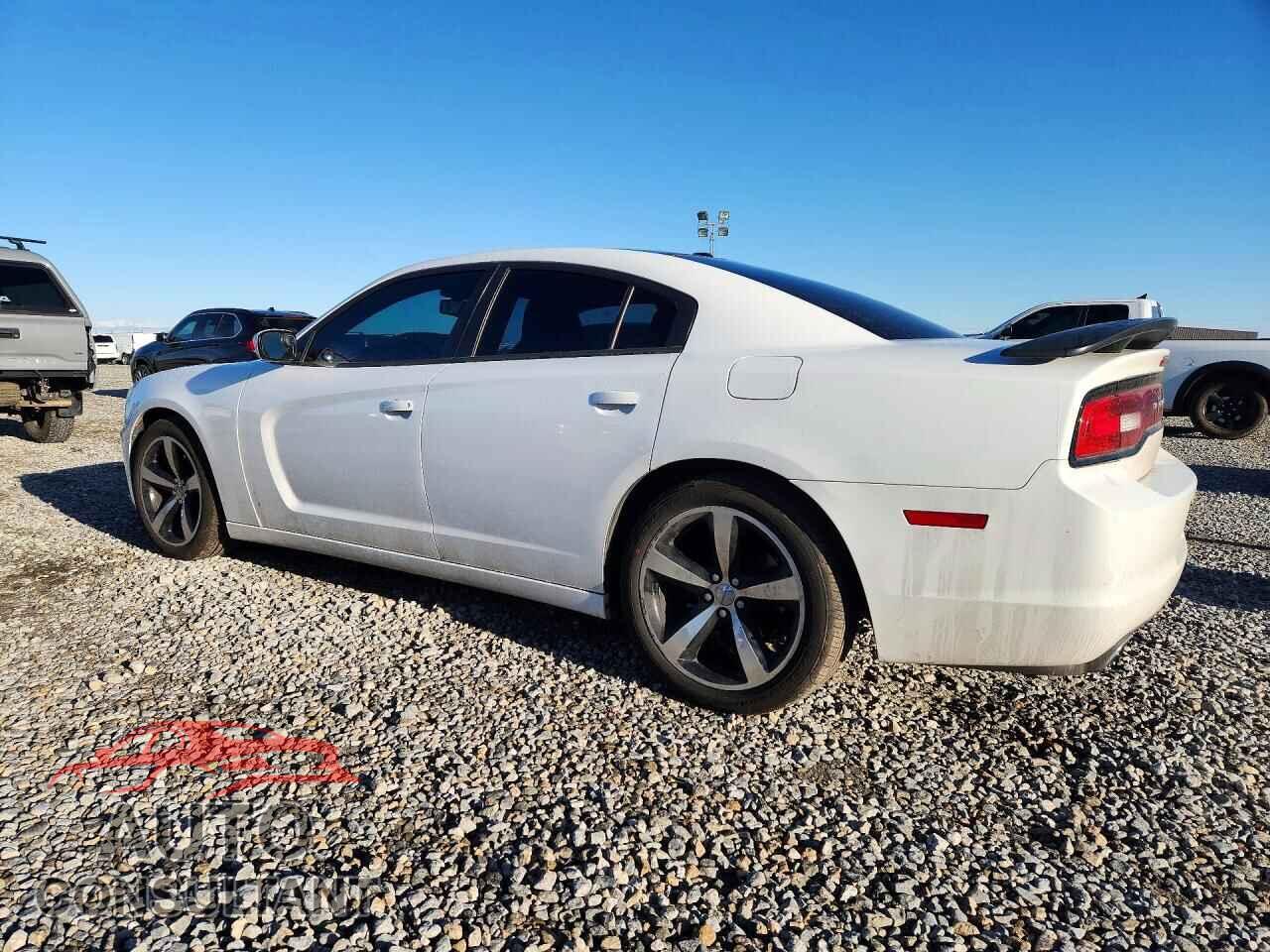 DODGE CHARGER 2014 - 2C3CDXHG0EH369928